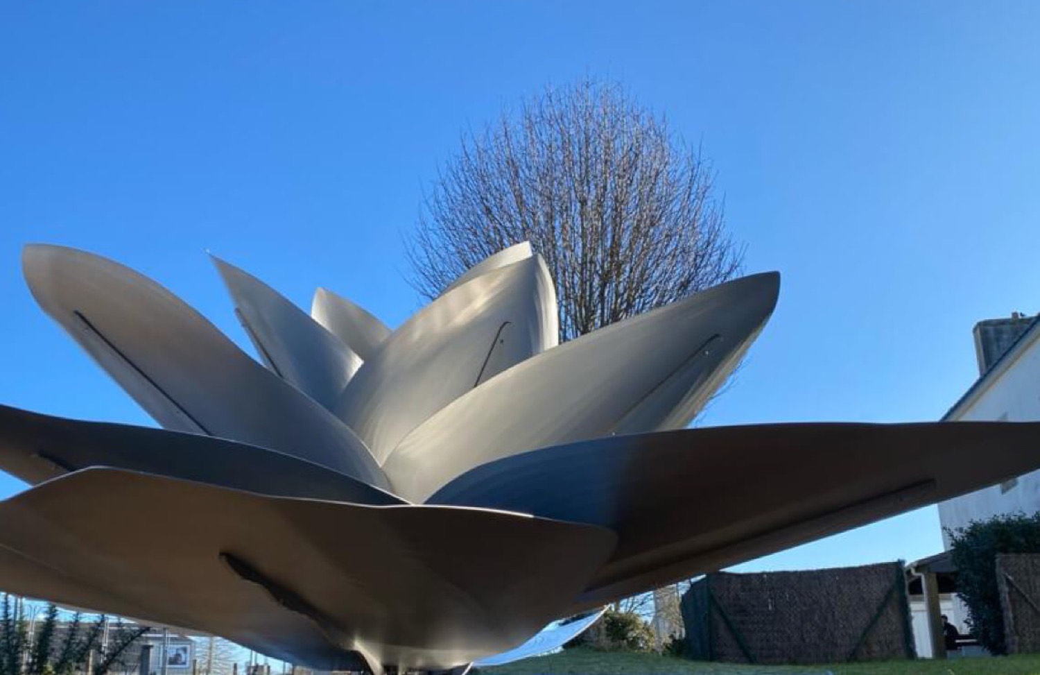 Marie Denis – Les 3 Lotus — Marie Denis, Art & Exhibition · Giovanardi